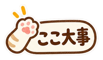ここ大事